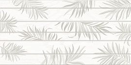 Equadore Fern 1 31,5x63
