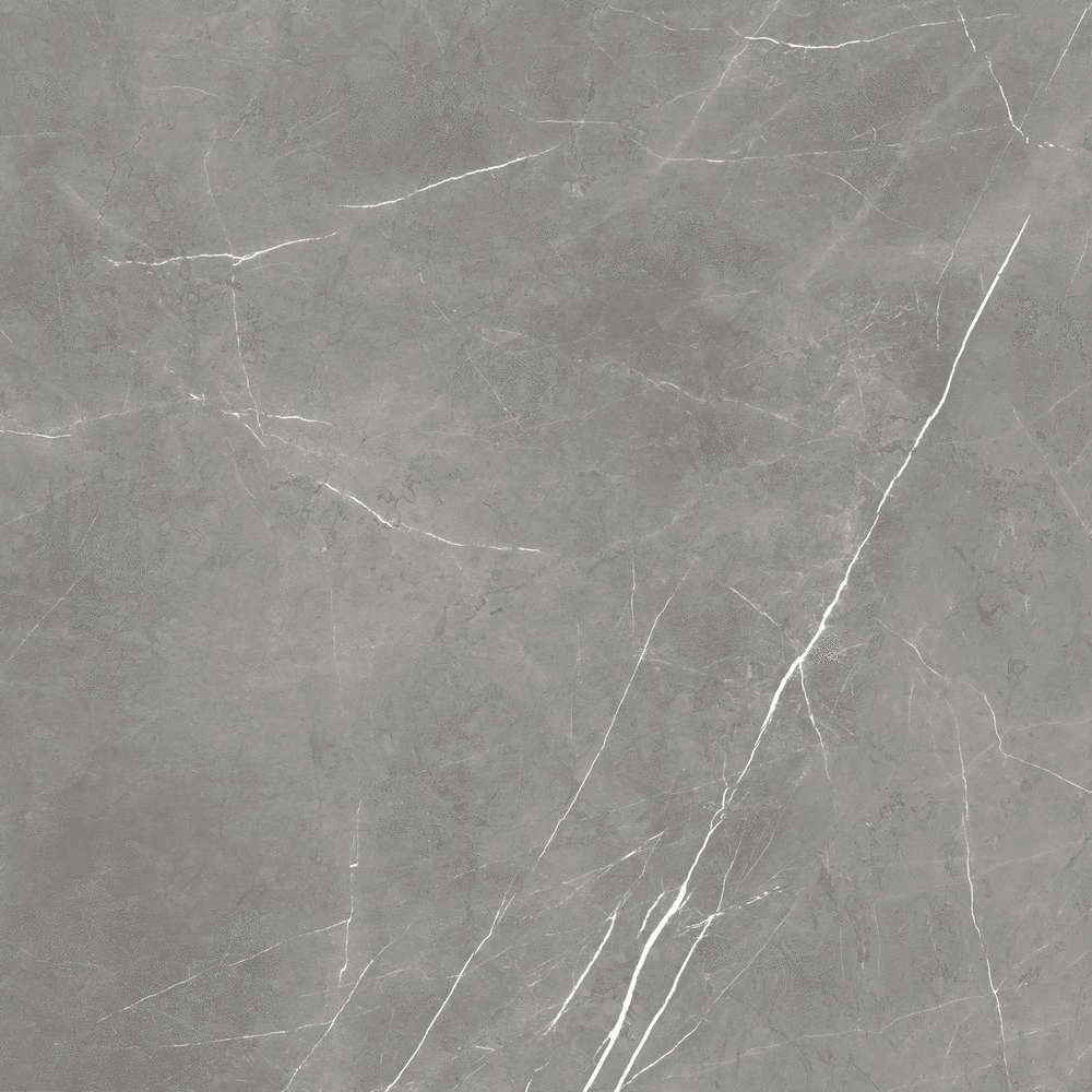 Forte Dei Marmi Elegant G. LASTRA 20mm 610010002724 60x60