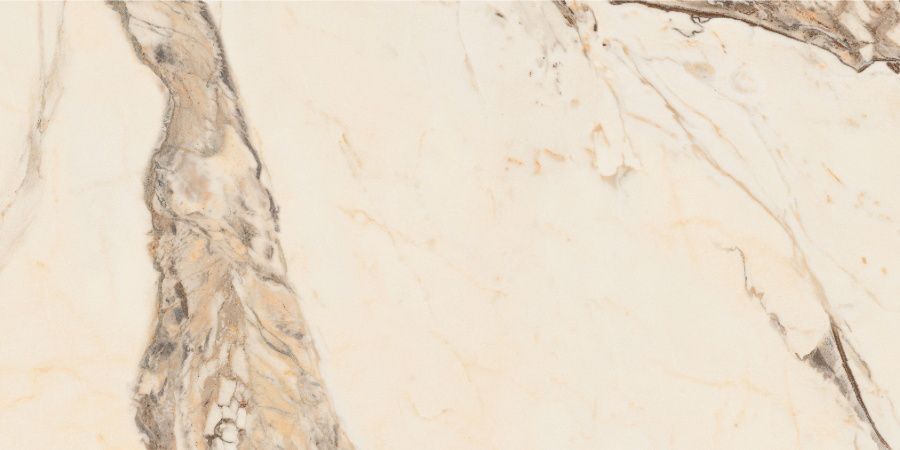 Splendida Calacatta Gold CV20184 Керамогранит 60x120