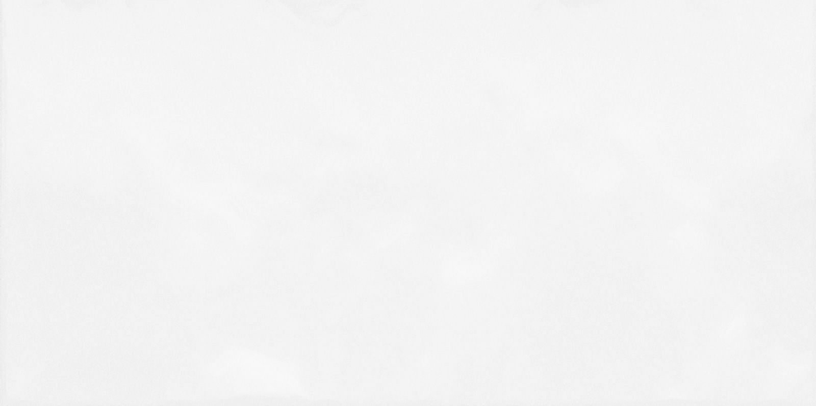 Monocolor TWU09MNR030 Глянцевая Рельефная 24,9x50