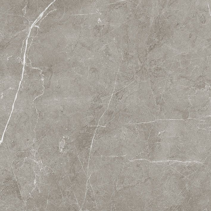 Scandy Серый Обрезной SG645220R Матовый Керамогранит 59,5x59,5