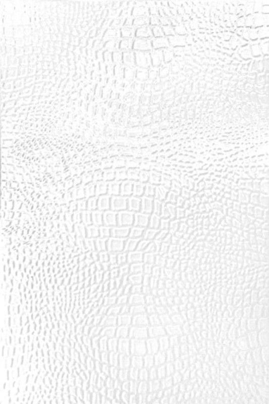 Варан Белый 8021 20x30