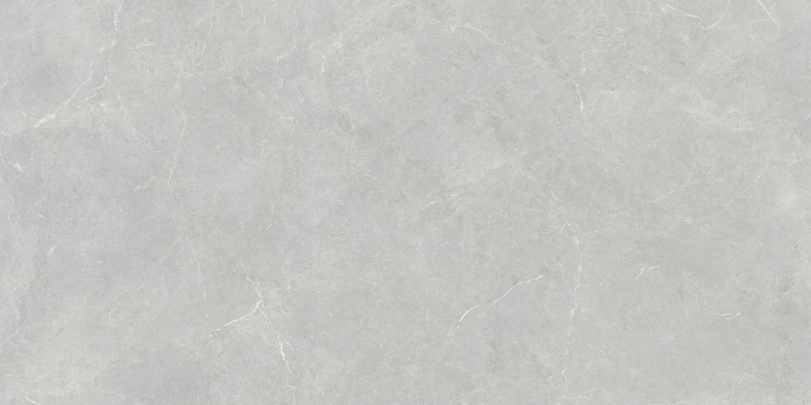 Stone and Marble Antique Marble Gray Matt 247867 Матовый Керамогранит 60x120