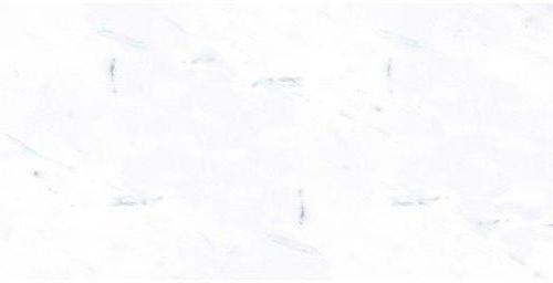 Payer Grey Matt G283MR Керамогранит 60x120