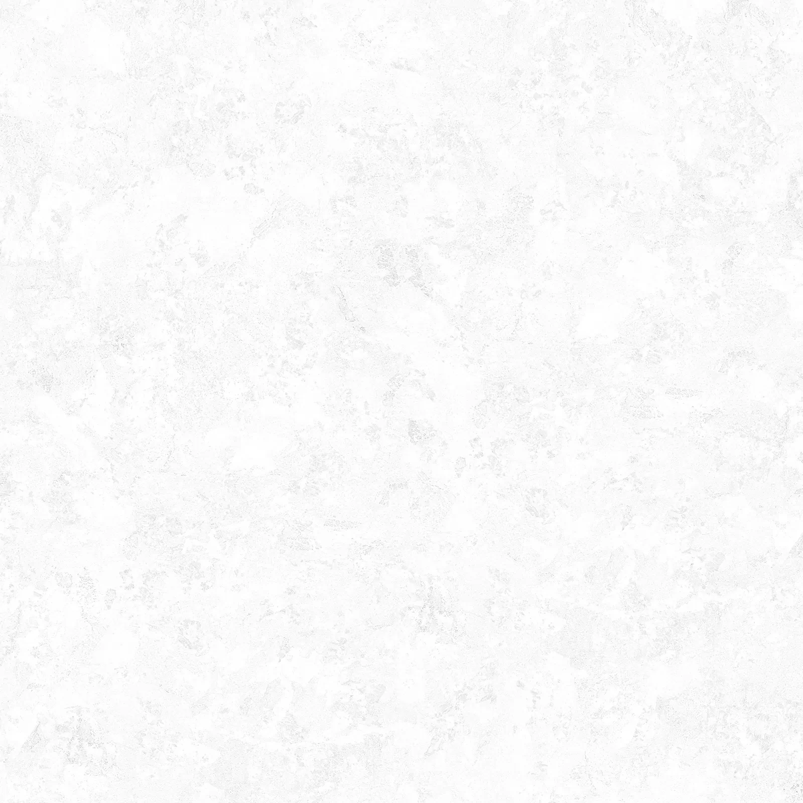 Evan White GP40PLY00L Лаппатированный Керамогранит 60x60