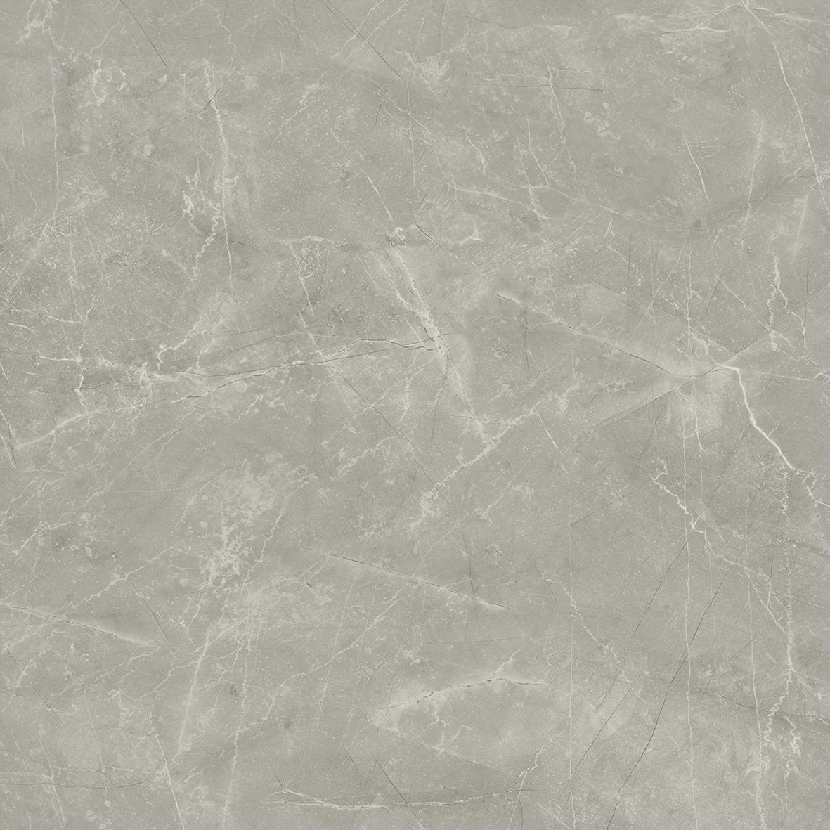 Wolf Grey Сатинированный Керамогранит 80х80