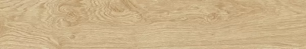 Oxford Natural Керамогранит 19,3x120