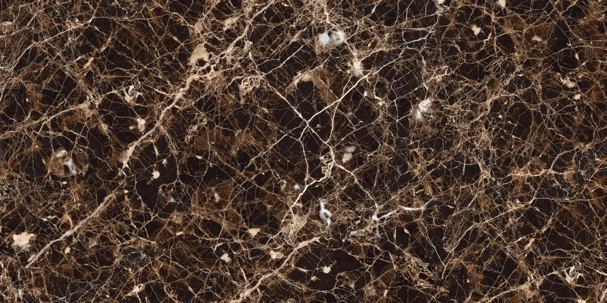 High Glossy Emperador Grand Brown 5334755 Глянцевый Керамогранит 60x120