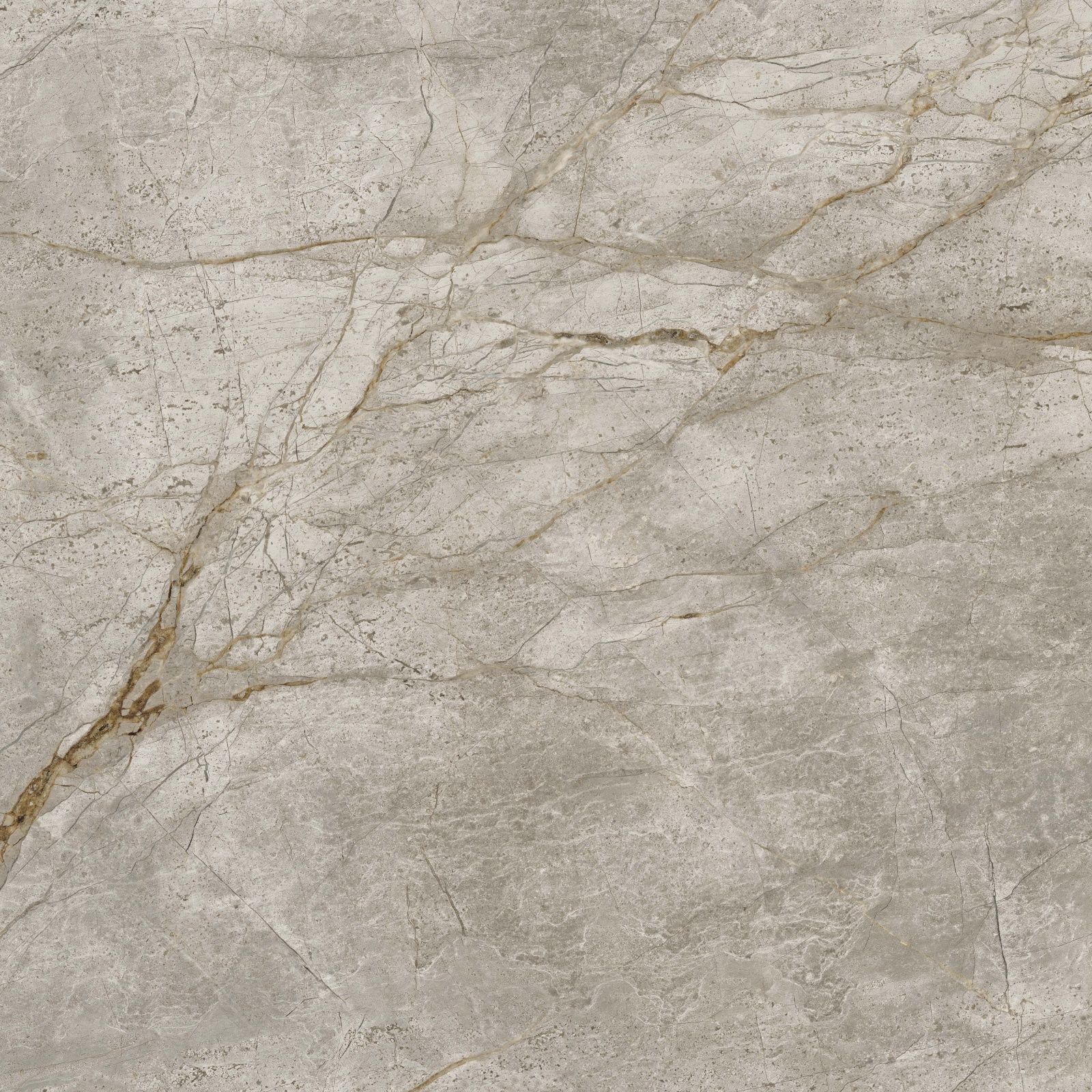 Empire Silver Root Rett 610010002180 Керамогранит 80x80