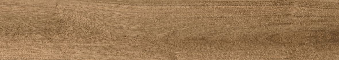 Latina Brown Коричневый Матовый Керамогранит 20х120