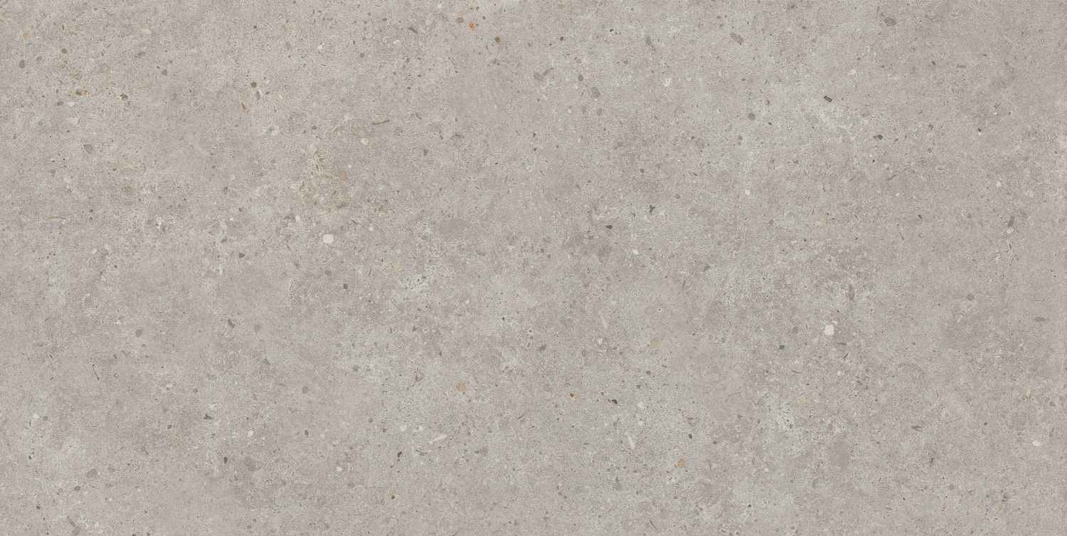 Риккарди Серый Светлый Матовый Обрезной SG519920R Керамогранит 60x119,5