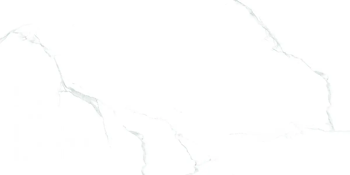 Glossy Silver Satuario 5099151 Полированный Керамогранит 60x120