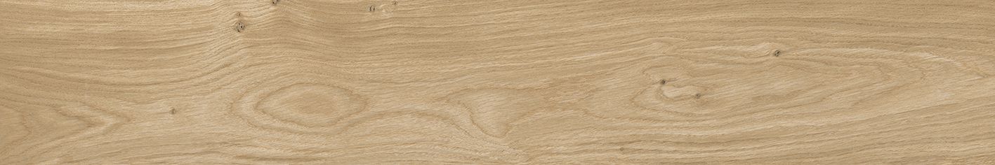 Club светло-коричневый SG517420R Керамогранит 19,6x119,5