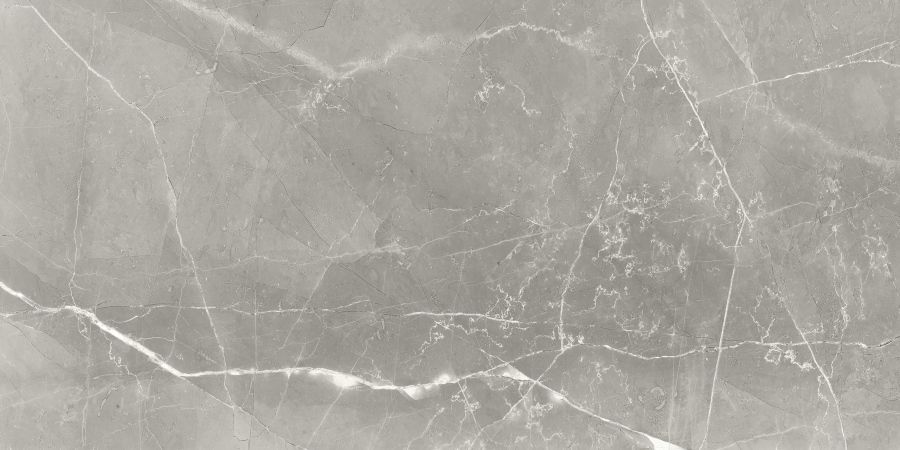 Fior Di Bosco Polished N70005 Керамогранит 60x120