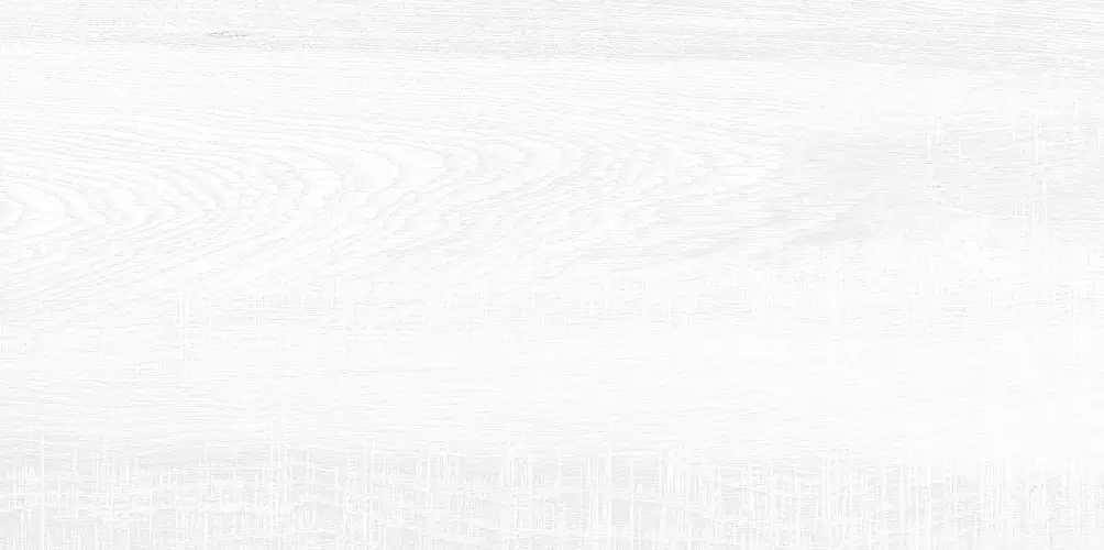 Briole White WT9BRE00 Глянцевая 24,9x50