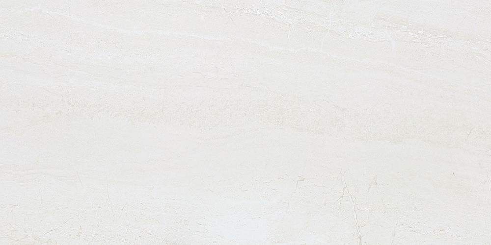 Zeus ZS612NTT9701P Керамогранит 60x120