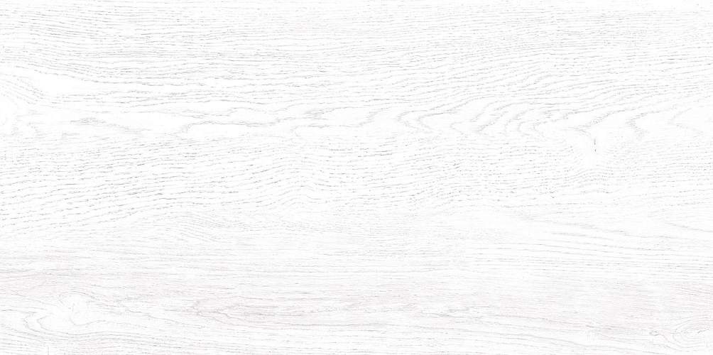 Wood Белый TWU09WOD000 Матовая 24,9x50