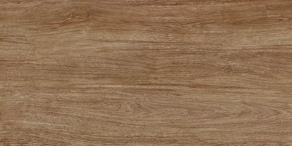 Boho Коричневый TWU2550BOH40 Матовая 24,9x50