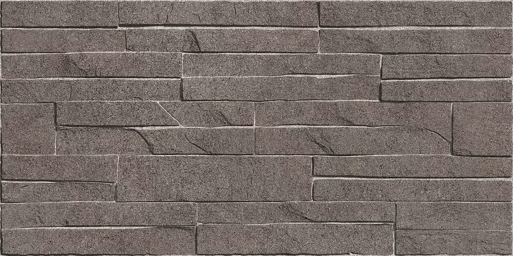 Discover Коричневый TWU2550DCV24 Матовая 24,9x50