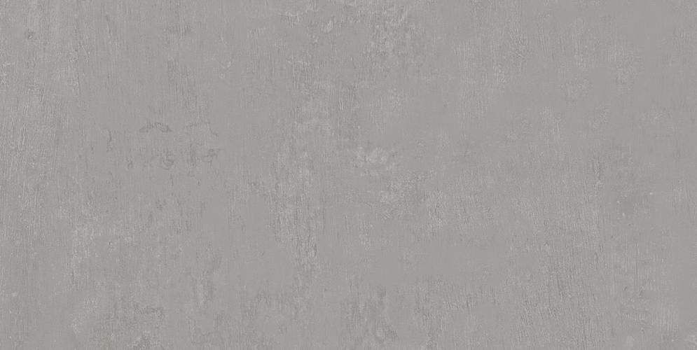 Про Фьюче Серый Обрезной DD593420R Керамогранит 60x119,5