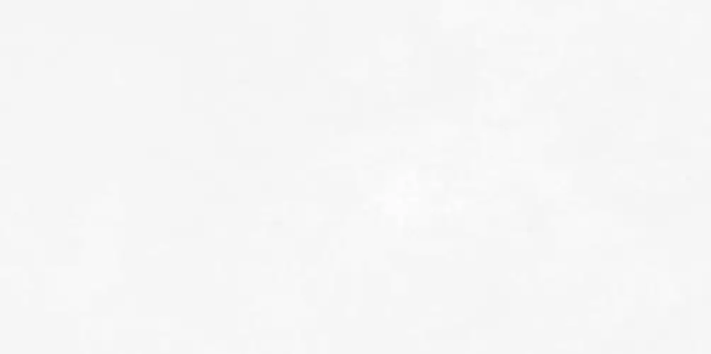 Antre White WT9ANR00 Матовая 24,9x50