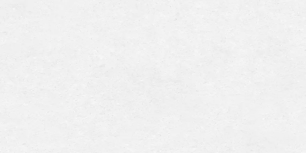 Absolute Ice D12038M Матовый Керамогранит 60x120