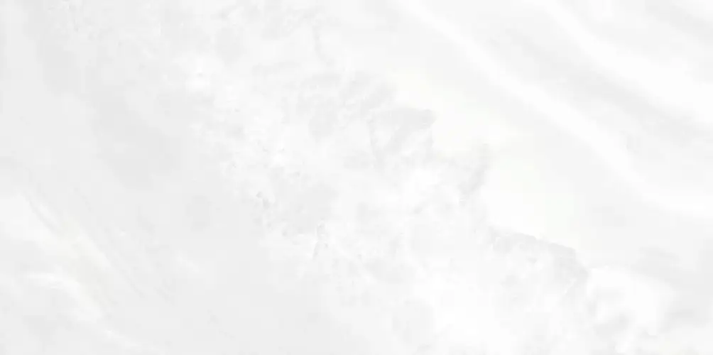 Palmira Light WT9PAL00 Глянцевая 24,9x50