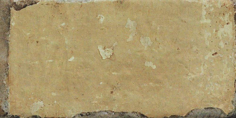 Havana Tropicana Керамогранит 20x40