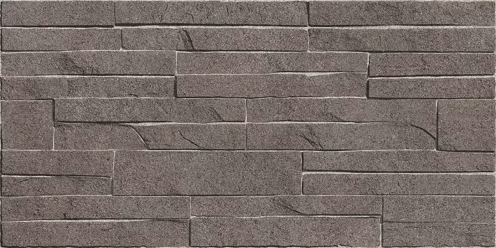 Discover Коричневый TWU2550DCV24 Матовая 24,9x50