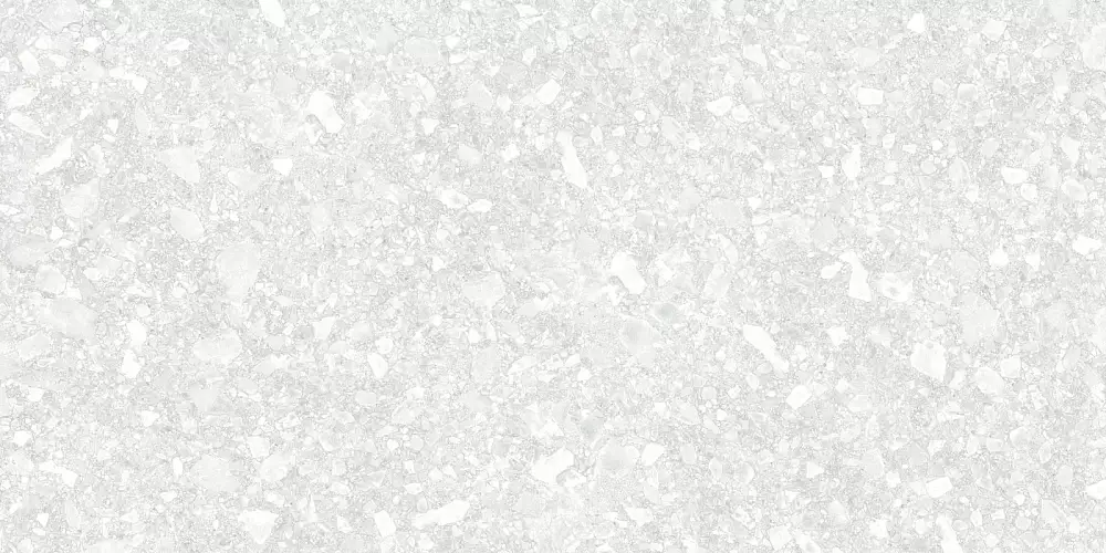 Turin Light D12041M Матовый Керамогранит 60x120