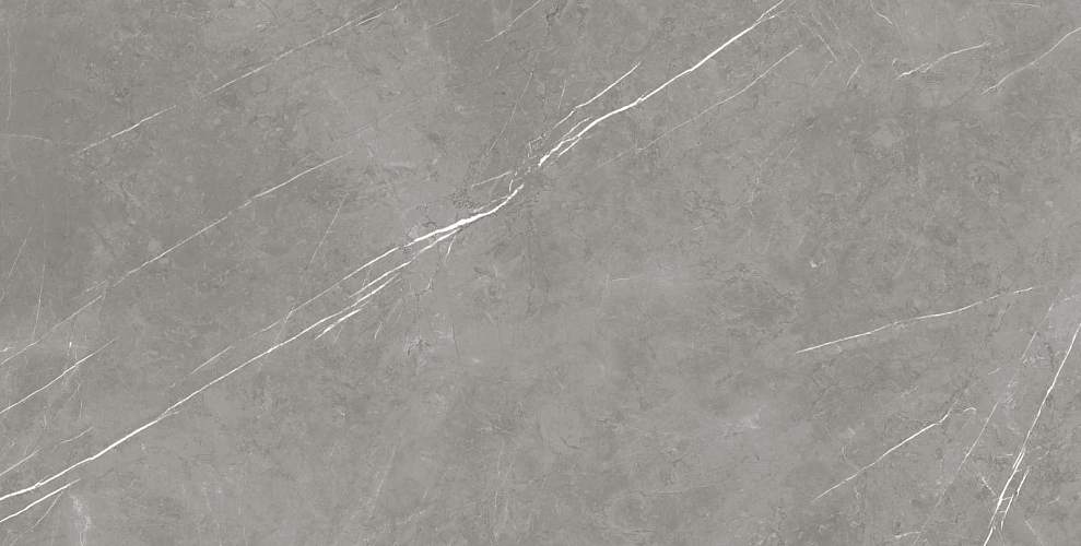 Elegant Grey Керамогранит 80x160