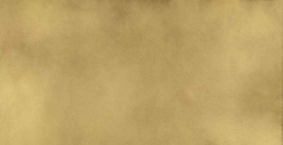 Continuum Brass Gold Лаппатированный 610015000645 Керамогранит 80x160