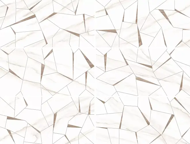 Esprit Wall WT9ESR01 Глянцевая 25x50