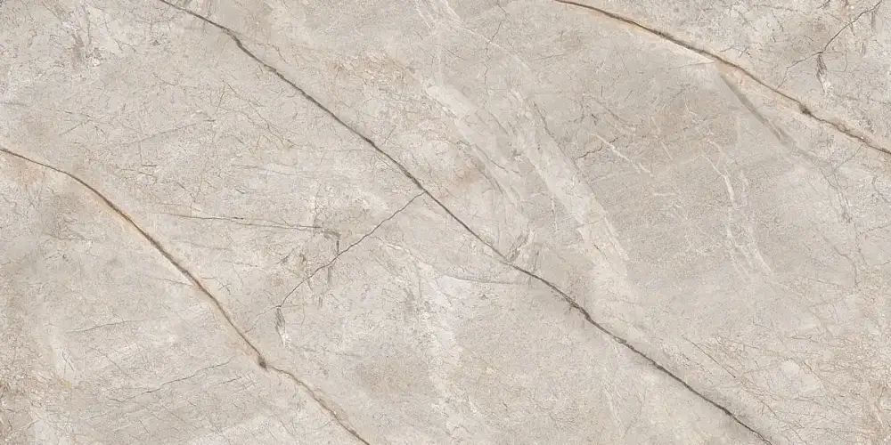 Silver Stone Carving N80016 Керамогранит 60x120