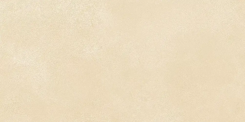 Petra Beige WT9PET11 Матовая 24,9x50