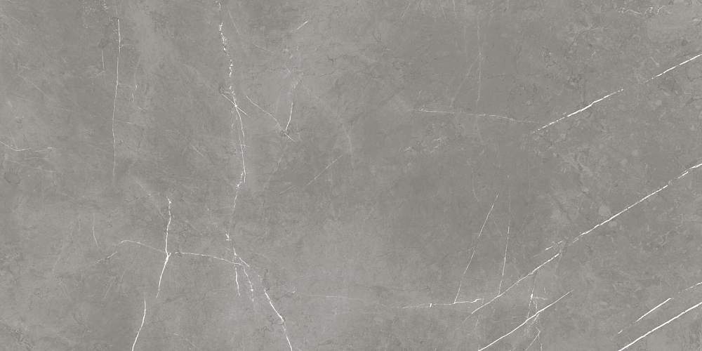 Elegant Grey Sat Керамогранит 60x120