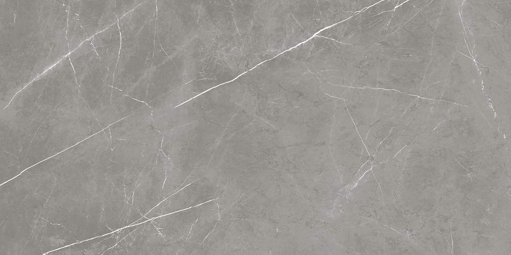 Elegant Grey Sat Керамогранит 60x120