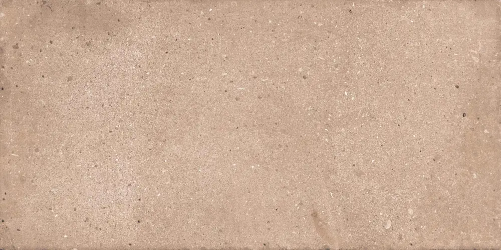 Rockstar Delhi NTTVL99828M Матовый Керамогранит 60x120