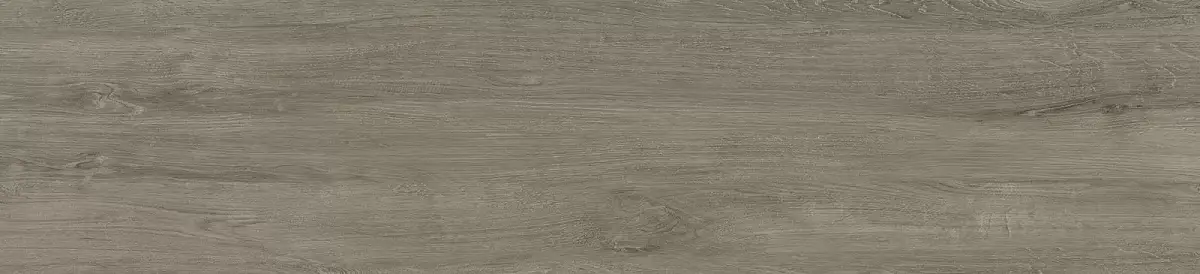 Milton Серый GFA2090MLT40R Матовый Керамогранит 20x90