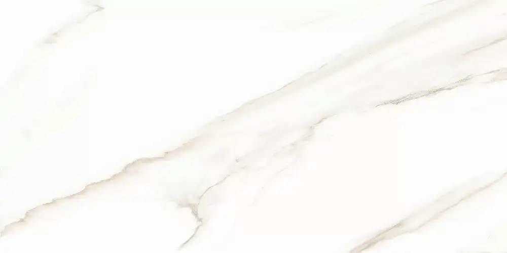 Esprit Calacatta WT9ESR00 Глянцевая 25x50