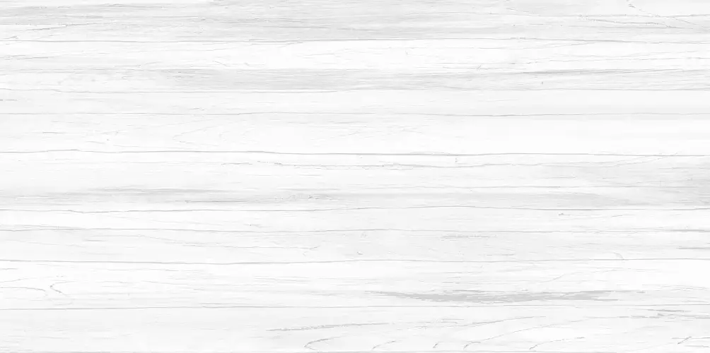 Vincenzo Casa WT9VIC25 Матовая 24,9x50