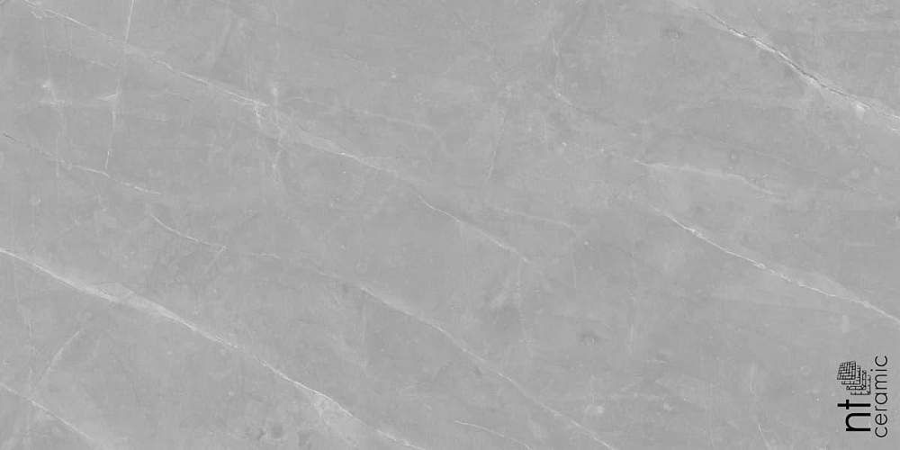 Limestone Grey Structura NTT99617M Матовый Керамогранит 60х120