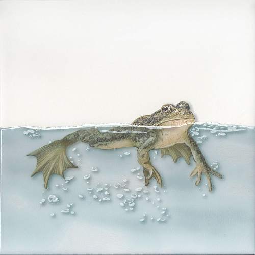 Декор Чудо-озеро 5 VT\A472\5009 20х20