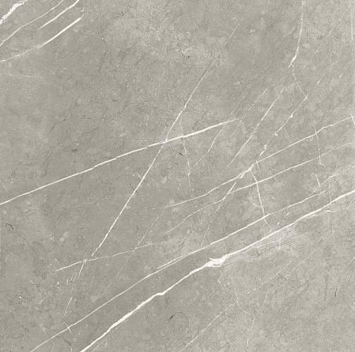 Bright And Shiny BB6NTT9102P Керамогранит 60x60