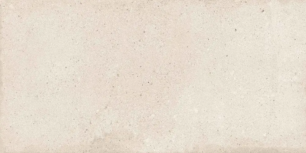 Rockstar Detroit NTTVL99827M Матовый Керамогранит 60x120