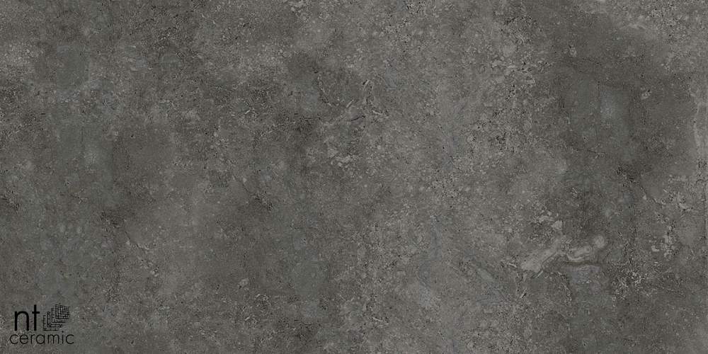 Concrete PP459NTT77003M Керамогранит 45x90