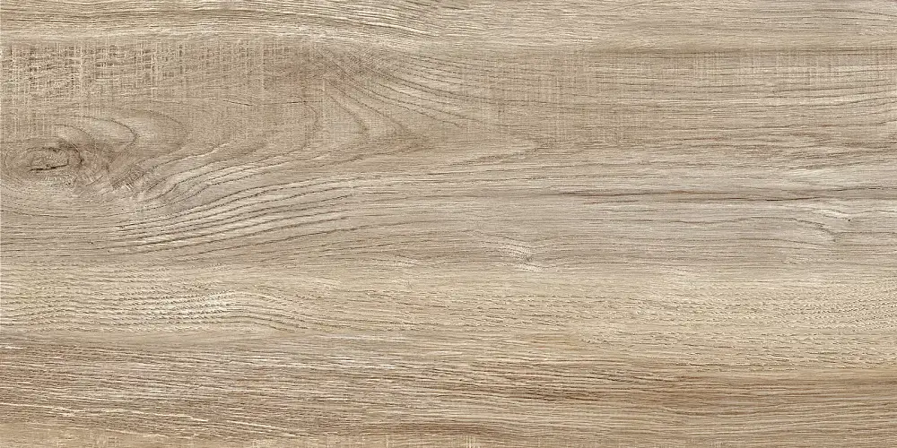 Euphoria Бежевый TWU2550EPH40 Матовая 24,9x50