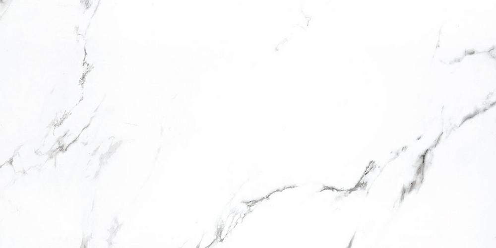 Bright And Shiny BB612NTT9100P Керамогранит 60x120