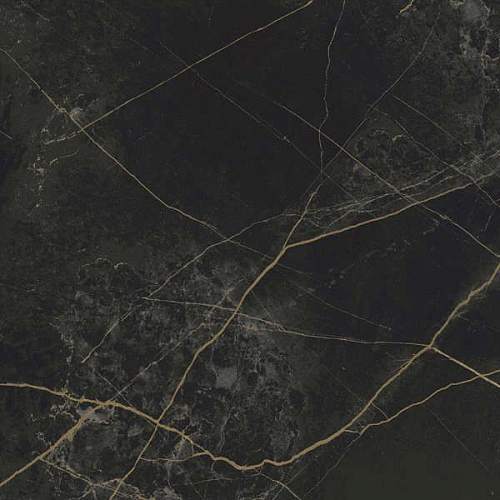 Граните Сандра Черно-Оливковый ID9064E080MR Матовый Керамогранит 60x60