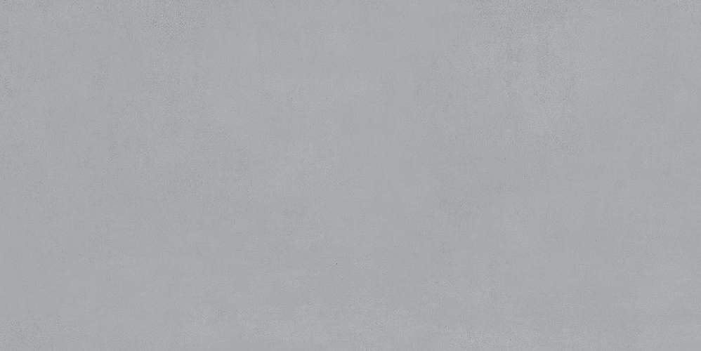 Azolla Grey 20,1x40,5